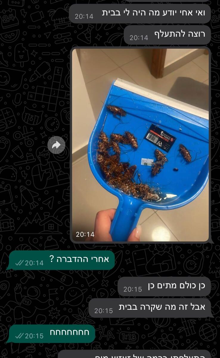 הדברה לגוקים שבאמת עובדת