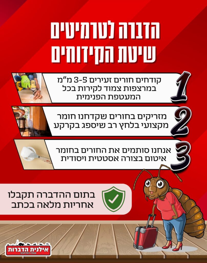 הדברה לטרמיטים שיטת הקידוחים