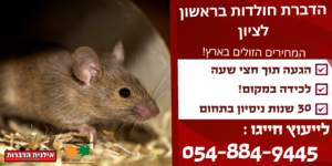 הדברת חולדות בראשון לציון