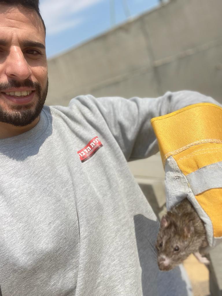 לוכד עכברים בתל אביב