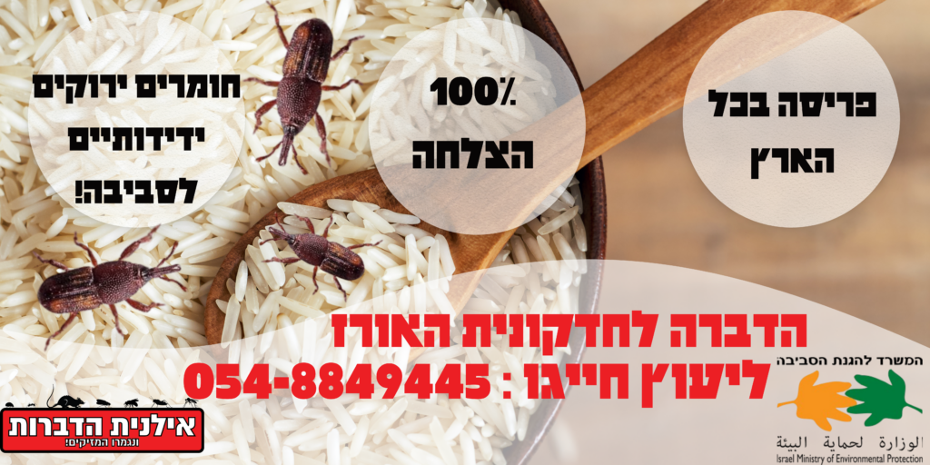 הדברה לחדקונית האורז