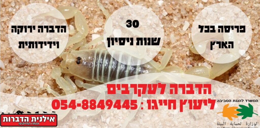 הדברה לעקרבים