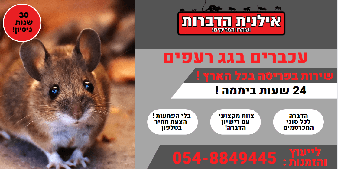 עכברים בגג רעפים