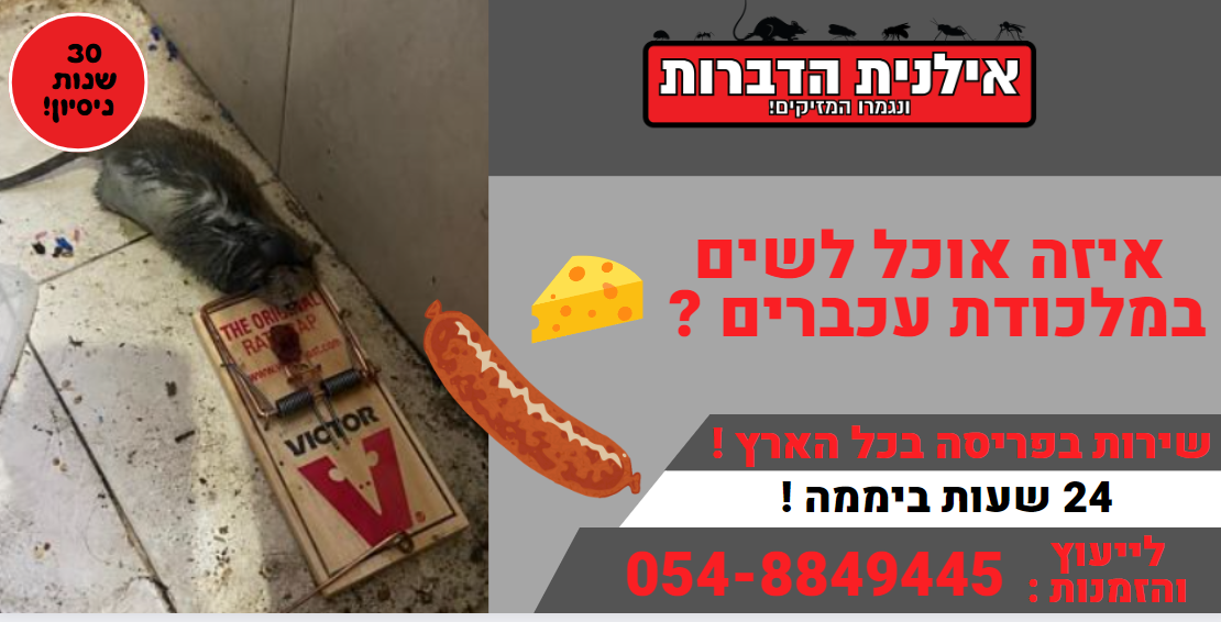 איזה אוכל לשים במלכודת עכברים ?