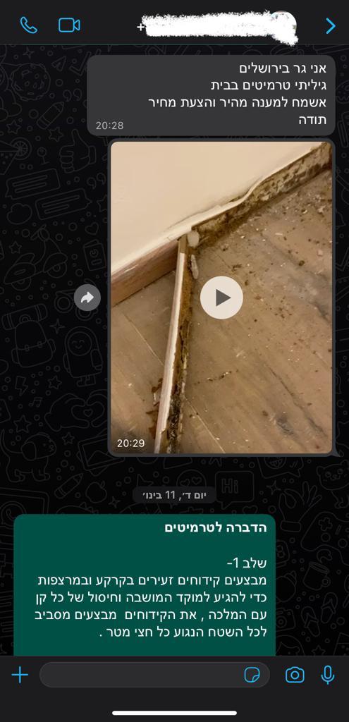 זיהוי טרמיטים בבית בוואטאפ