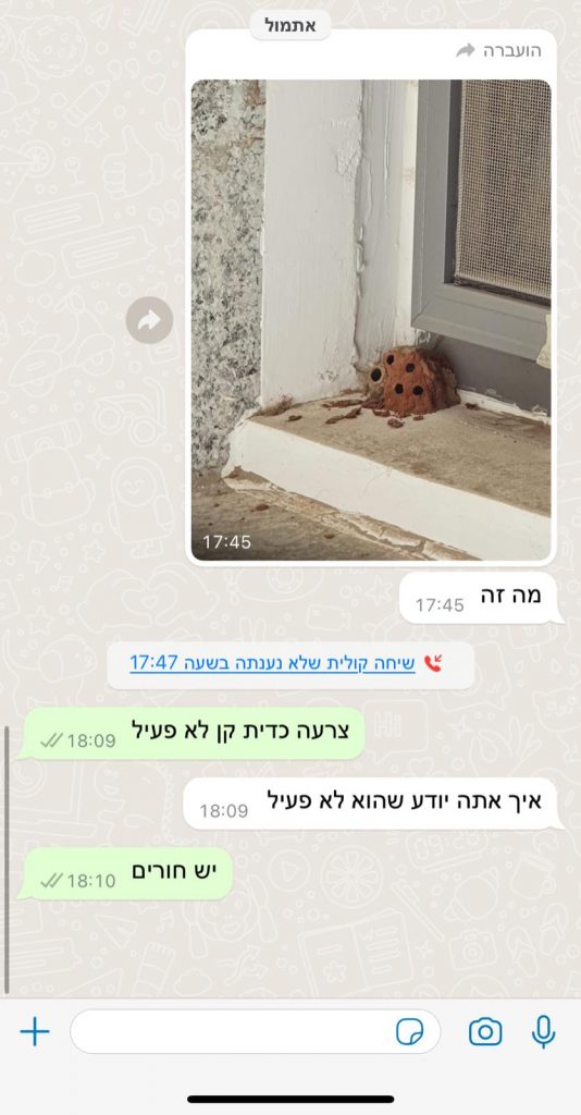 זיהוי חרקים בוואטאפ חינם