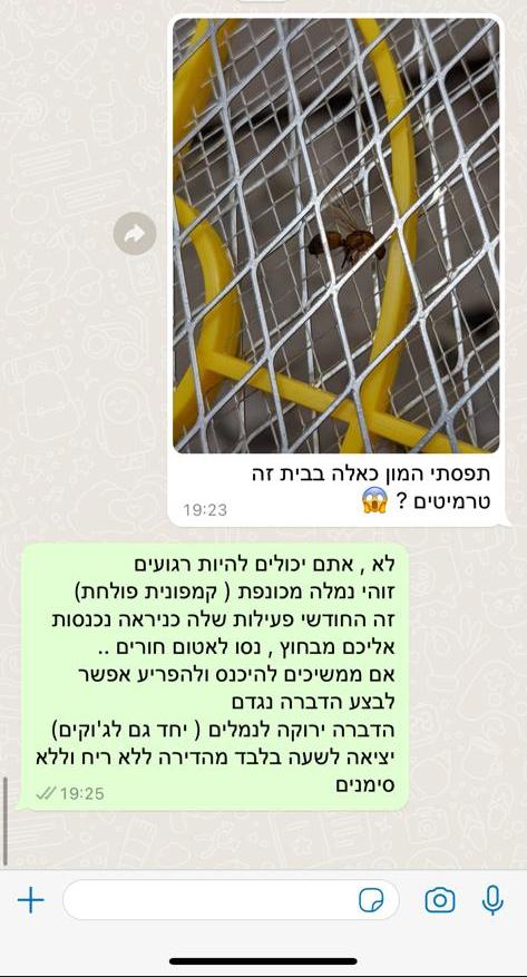 זיהוי חרקים בוואטאפ חינם