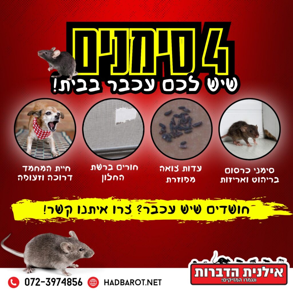 הדברת עכברים