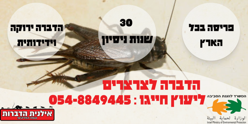 הדברה לצרצרים