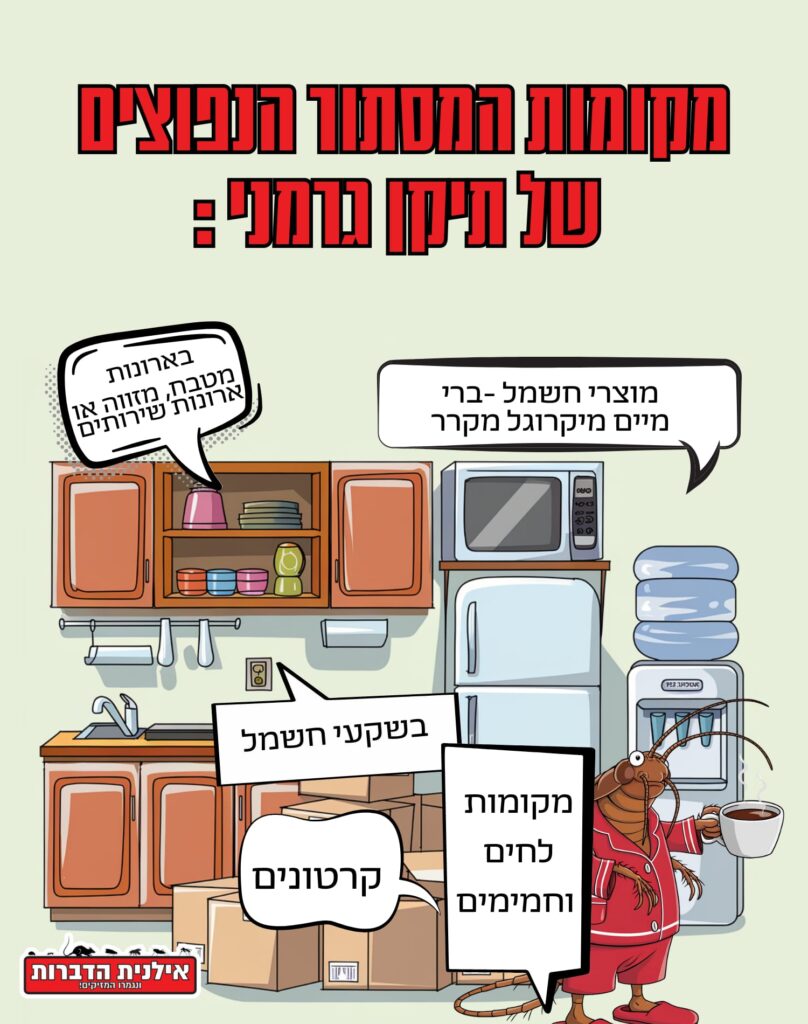 מקומות המסתור של תיקן גרמני