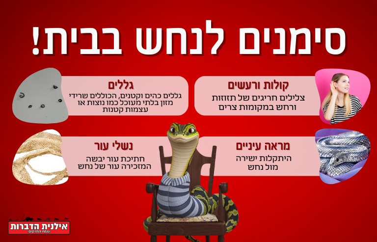 סימנים לנחש בבית