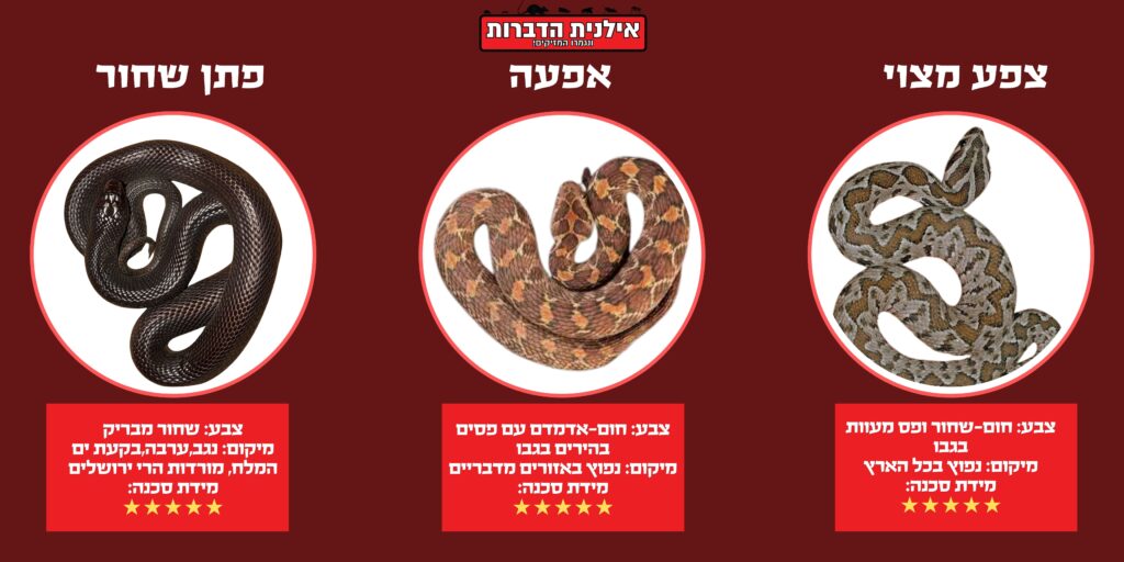 נחשים ארסיים בישראל