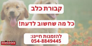 קבורת כלב