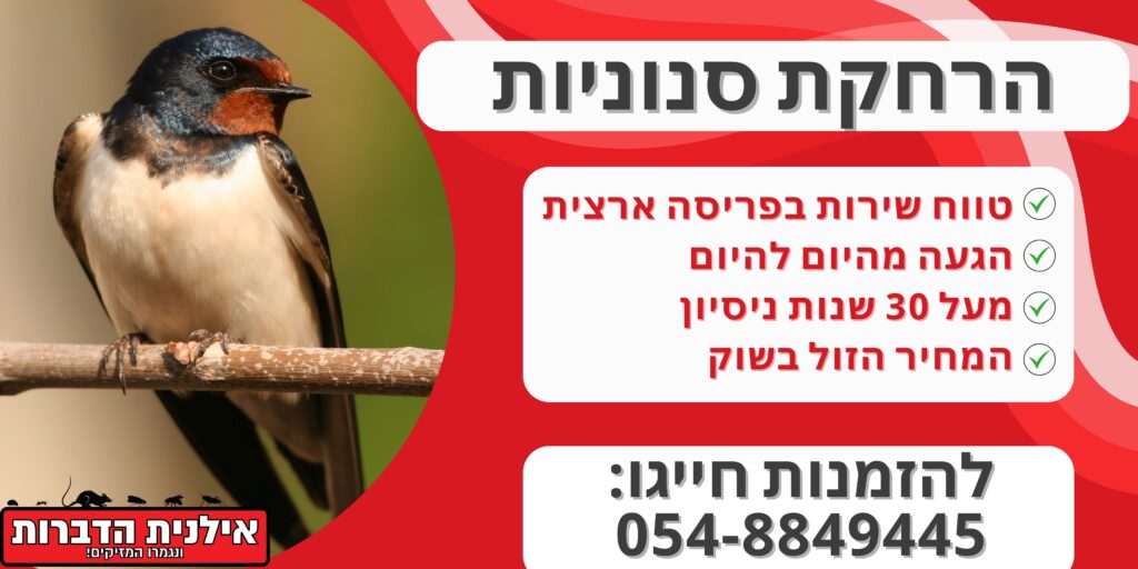 הרחקת סנוניות מהחצר